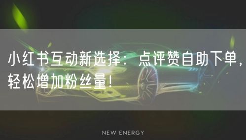 小红书互动新选择：点评赞自助下单，轻松增加粉丝量！