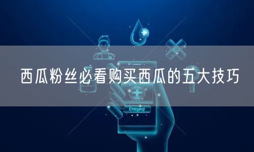 西瓜粉丝必看购买西瓜的五大技巧